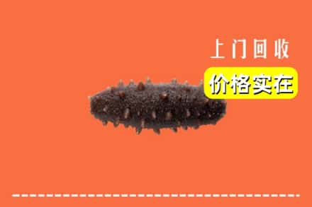 收购资讯:咸阳武功县回收海参